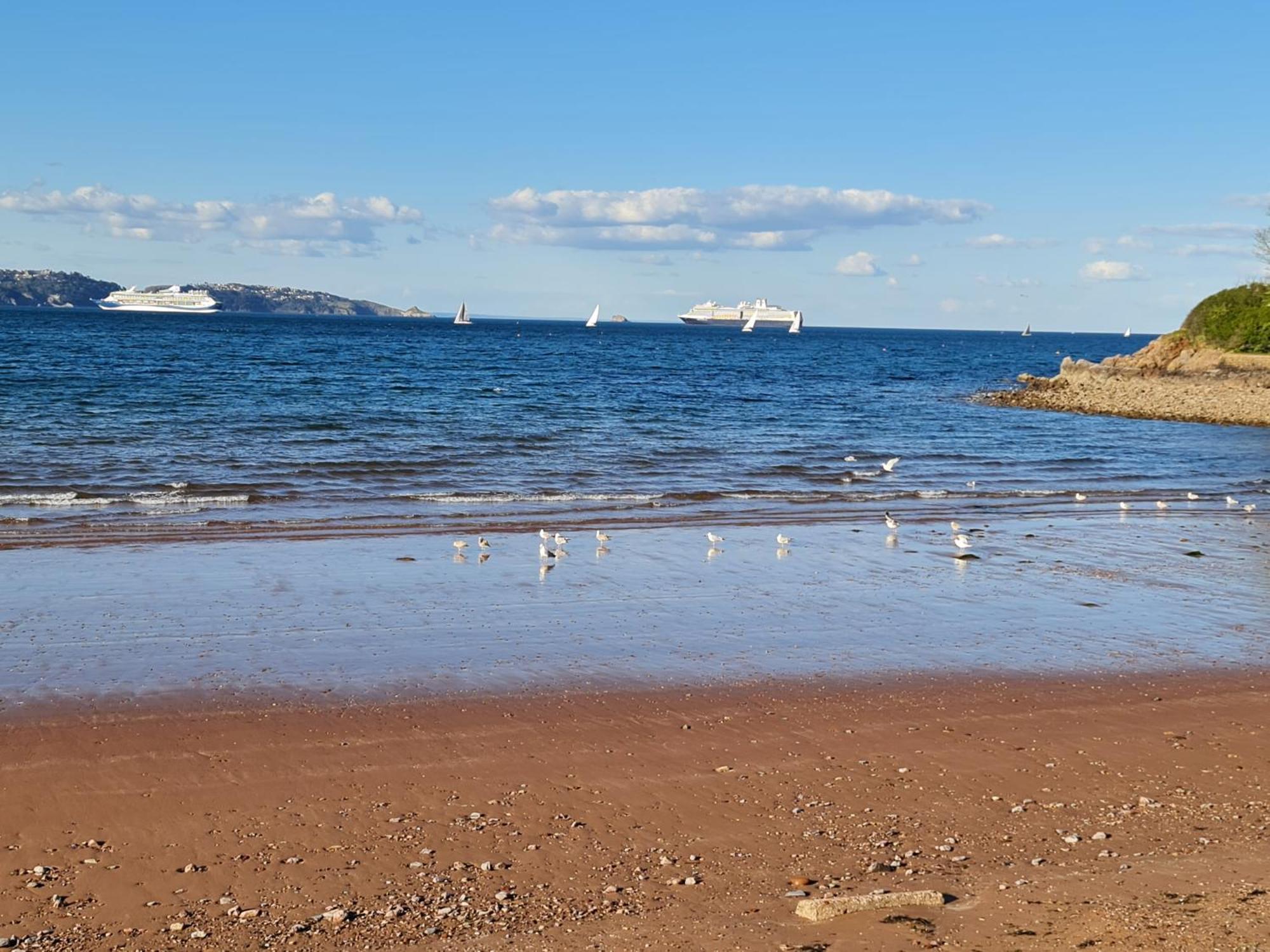 Seaspot Is A 1 Bed Annex Ground Floor Apartment At Stunning Broadsands Beach Nr Brixham! Churston Ferrers Екстериор снимка